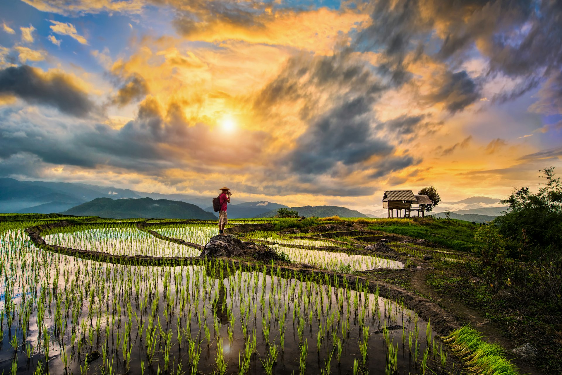 一位摄影师背包客在泰国清迈日落时旅行并拍摄稻田桨田美丽的一步